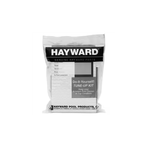 Hayward Leaf Canister O-Ring | AXW542