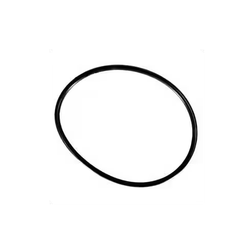 Hayward Viton Cover O-Ring | CLX200K