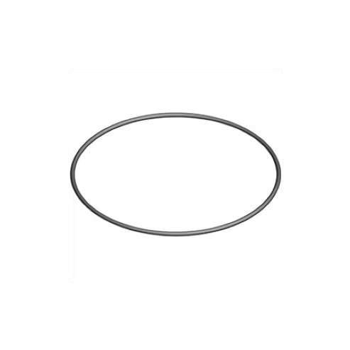 Hayward Cover O-Ring | SPX0715Z1