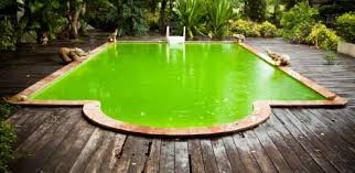 Green Pool Recovery